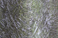 Perryfoot fibreglass roof work